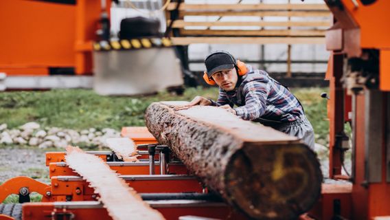 ORMAN VE ORMAN ÜRÜNLERİ HİZMETİ